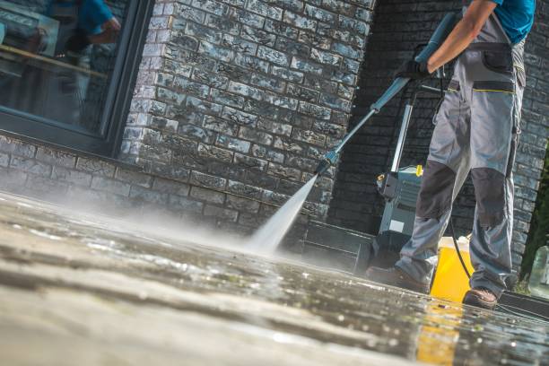 Best Soft Washing  in Bartonvle, IL