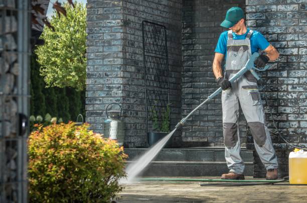 Best Sign and Awning Cleaning  in Bartonvle, IL