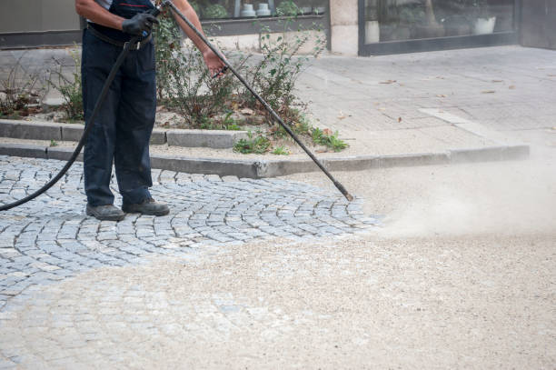 Best Dumpster Area Cleaning  in Bartonvle, IL