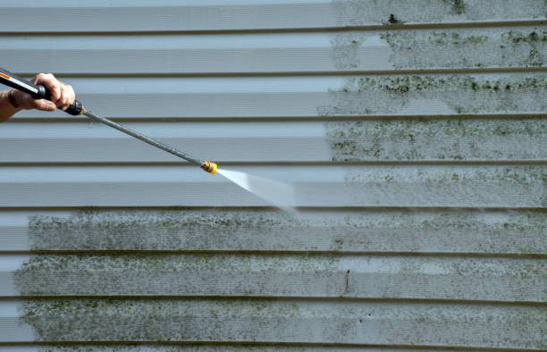 Best Sidewalk and Walkway Cleaning  in Bartonvle, IL